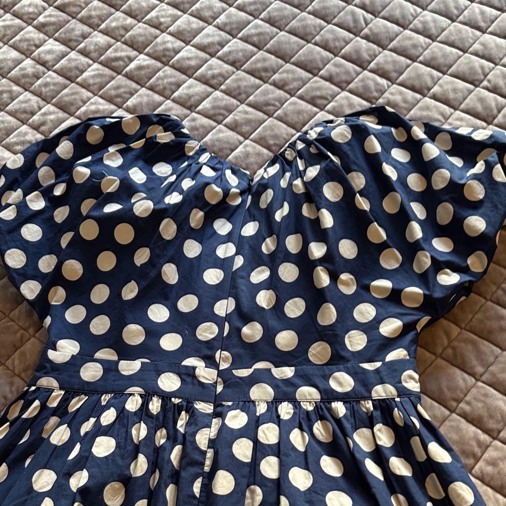 J. Crew Navy and White Polka Dot Dress - Picture 6 of 9